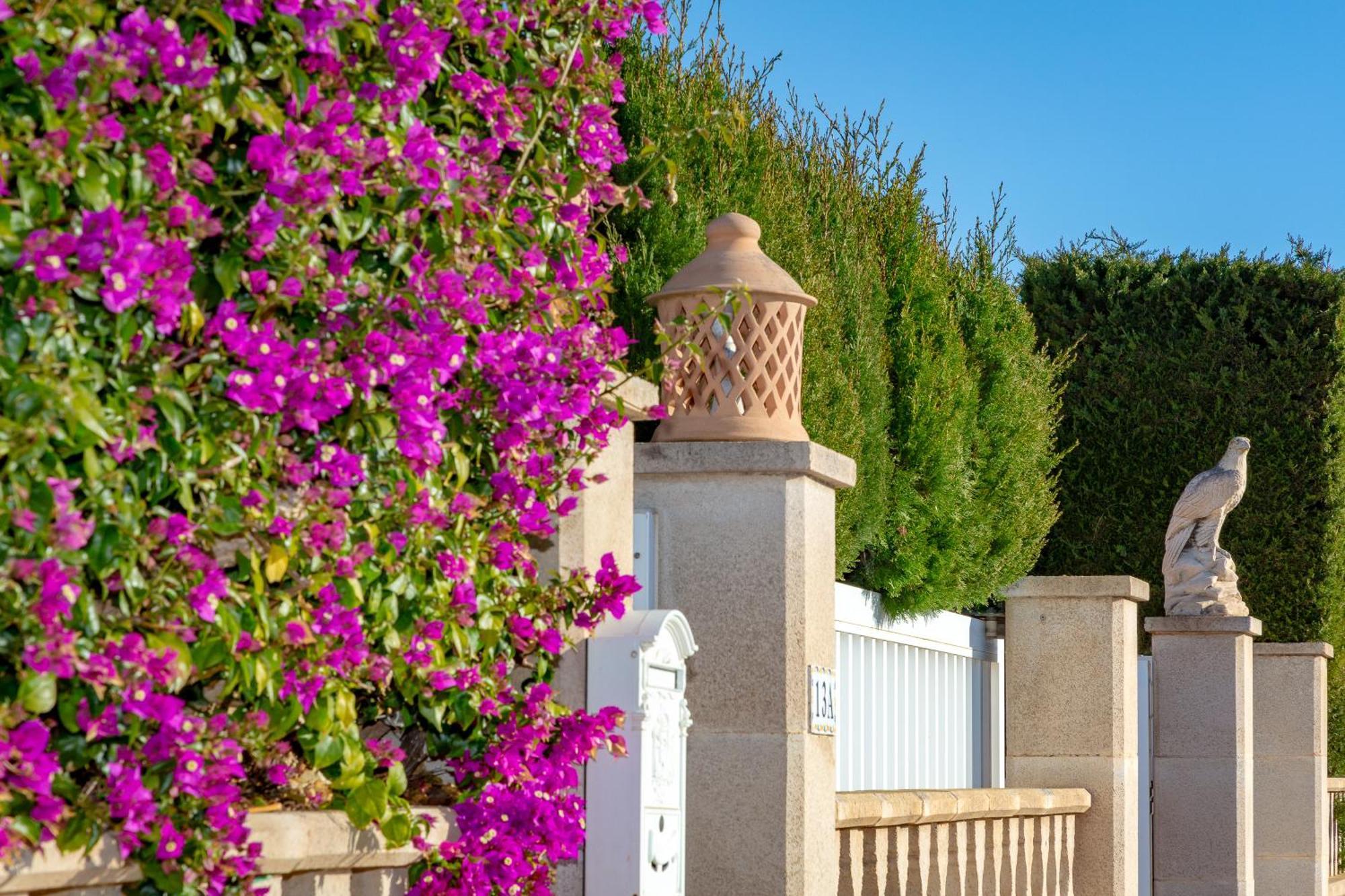 Villa Palmera パルマ・デ・マリョルカ エクステリア 写真
